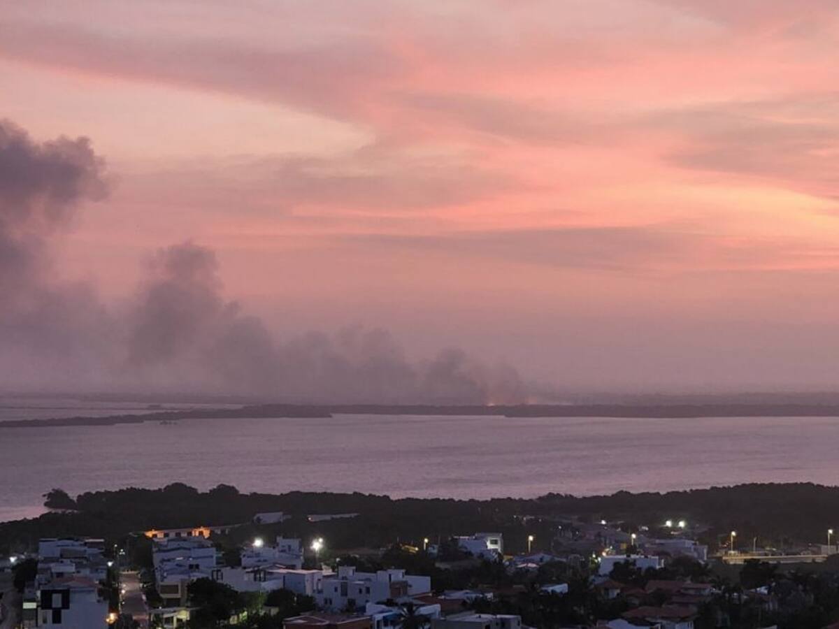 Incendio en Vía Parque Isla Salamanca arrasa con hectáreas de mangle