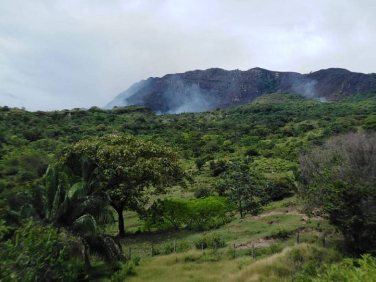 Fuerte incendio forestal deja graves daños ambientales en Tolima