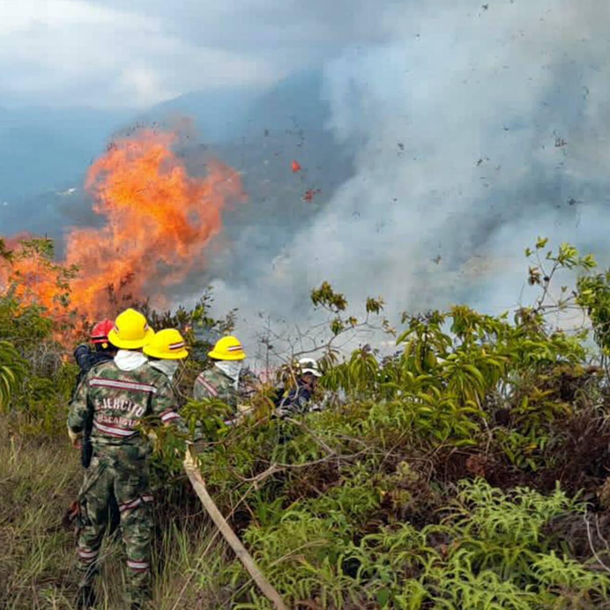 “Habrá investigaciones disciplinarias a raíz de incendios forestales”: Procuraduría