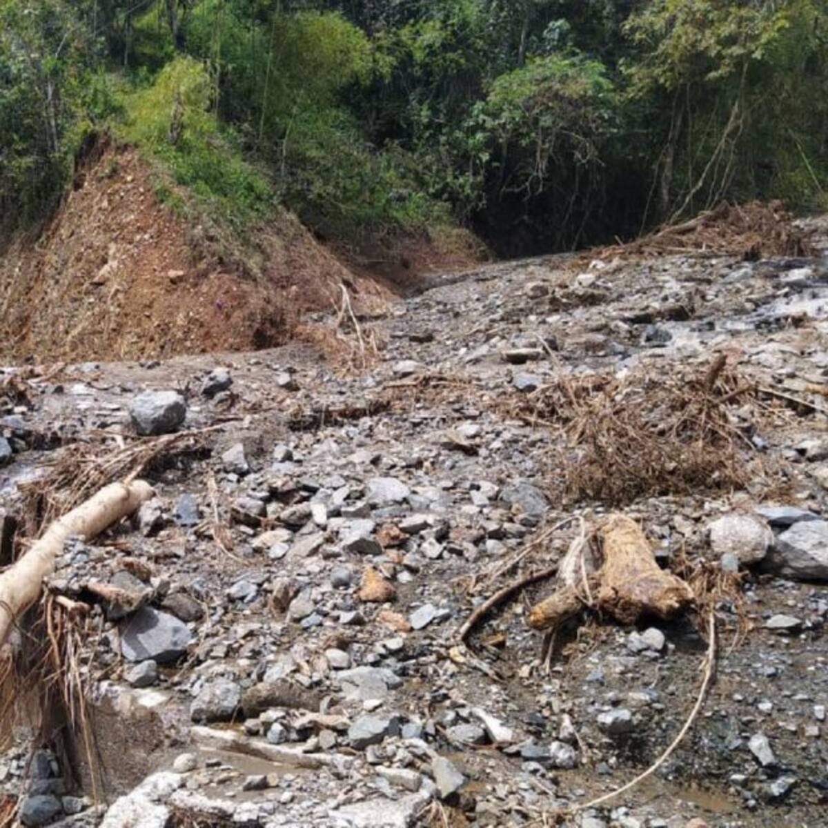 Son 24 los municipios del Valle con emergencias por lluvias