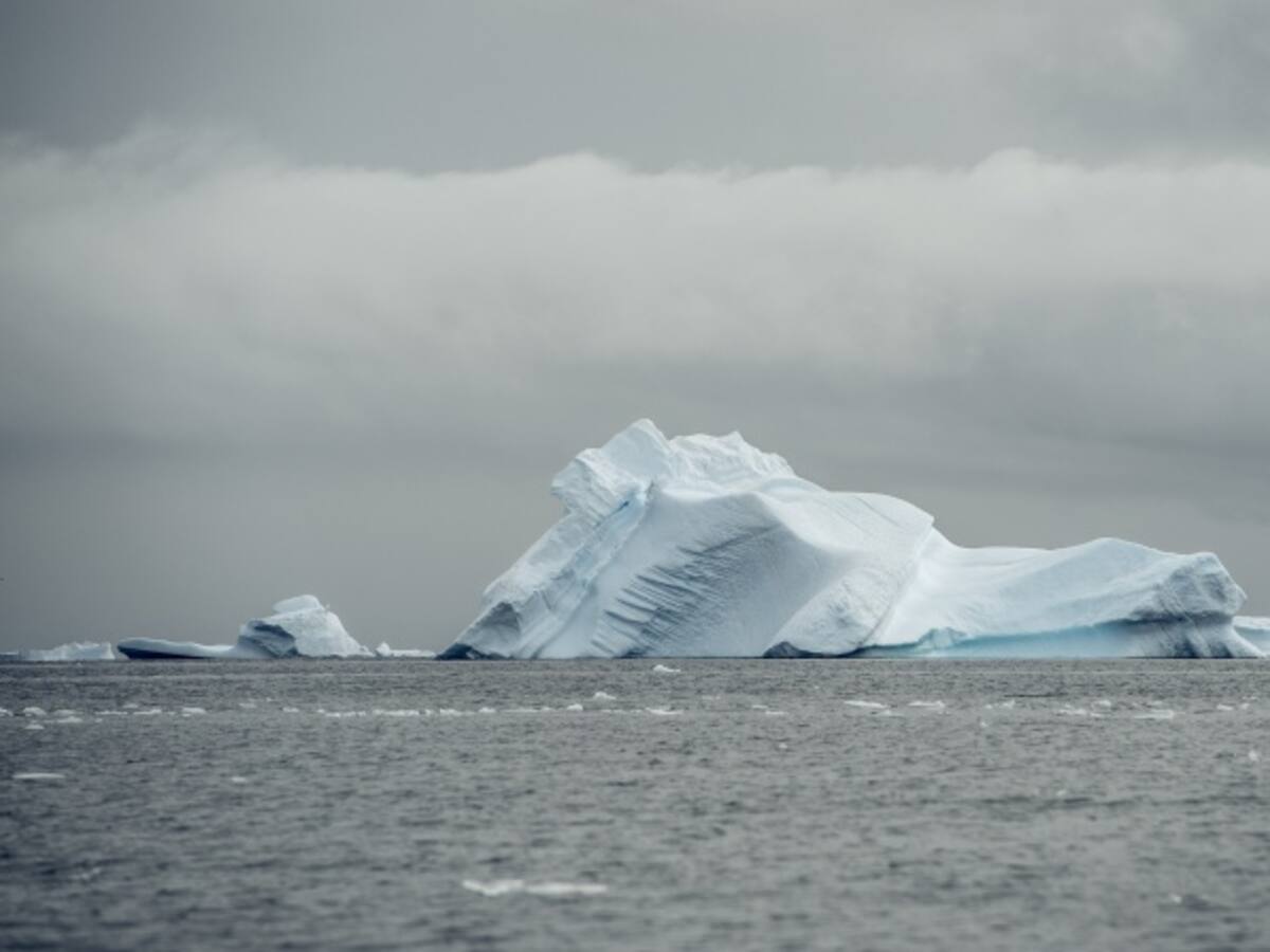 Greenpeace descubre nuevos ecosistemas marinos en la Antártida