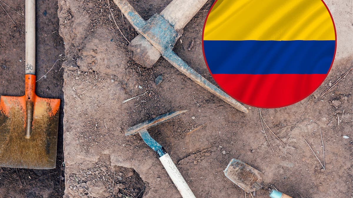 Este es el fósil más antiguo y completo del mundo y fue encontrado en Colombia: A 3 horas de Bogotá