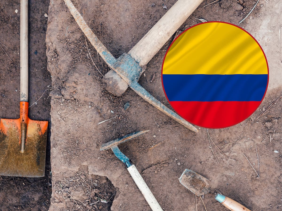 Este es el fósil más antiguo y completo del mundo y fue encontrado en Colombia: A 3 horas de Bogotá