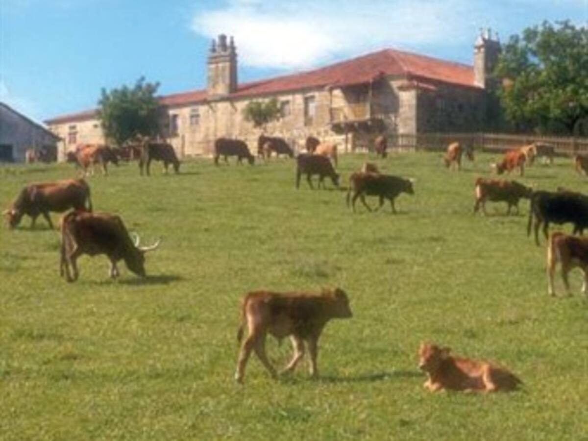 La ganadería genera el 9% de gases de efecto invernadero en la Unión Europea