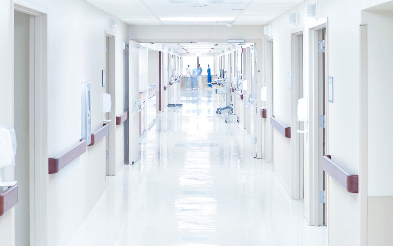 Fotografía suministrada