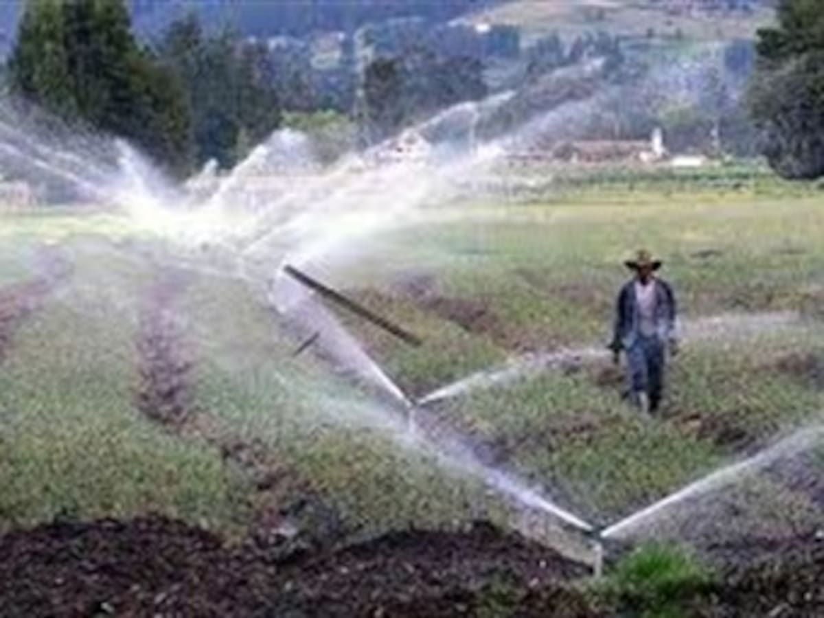 En libertad quedó otro implicado en el escándalo de Agro Ingreso Seguro