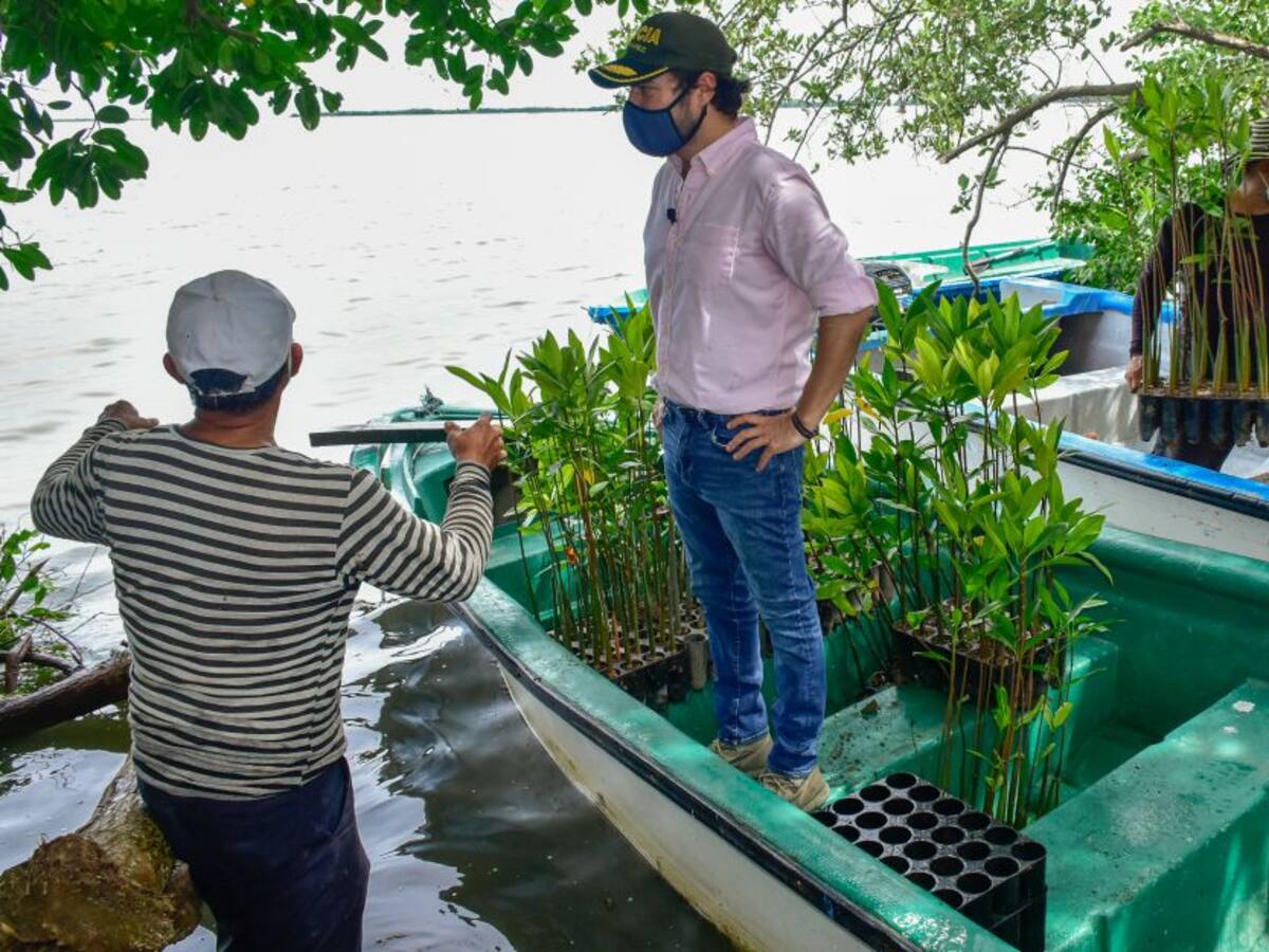 Comenzó la recuperación de la ciénaga de Mallorquín