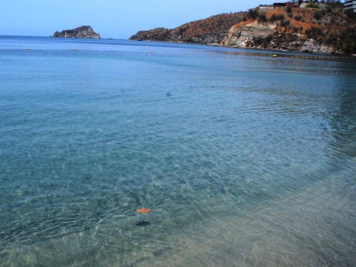 Pandemia ha sido dolorosa para el hombre pero positiva para biodiversidad