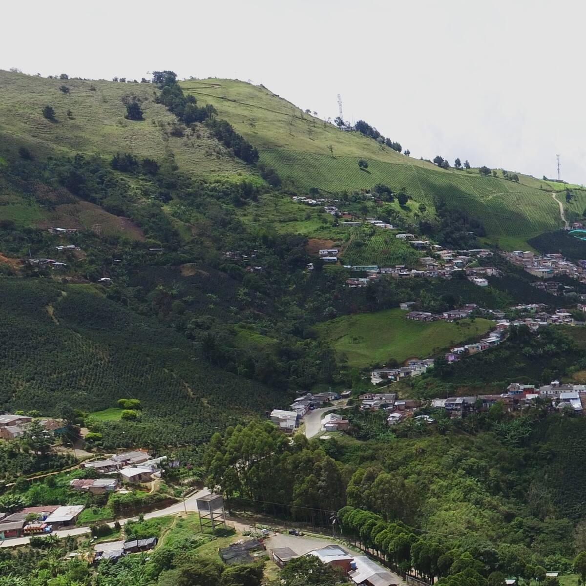 Una mujer y su pareja fueron asesinados en Concordia, Antioquia