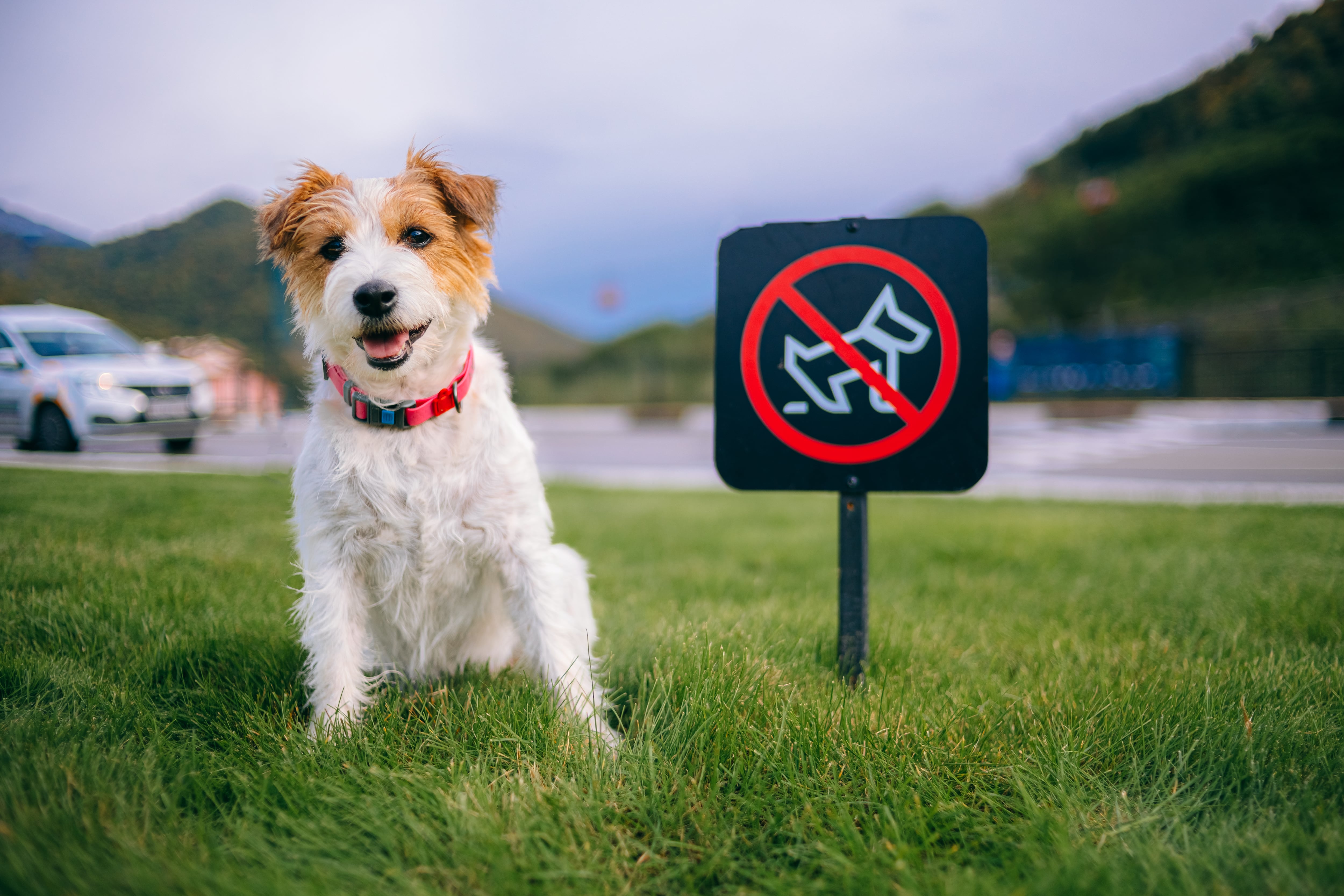 Imagen de referencia vía Getty Images