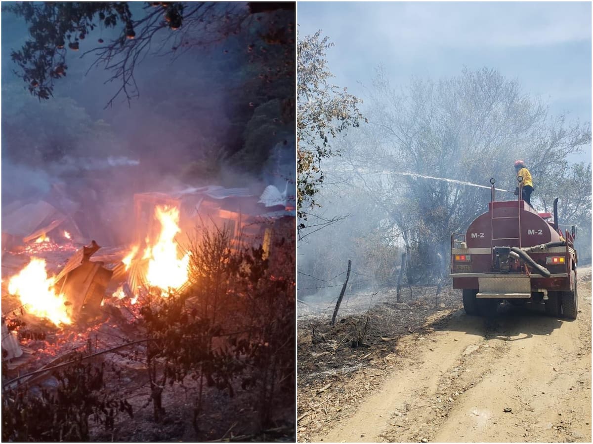 Incendios forestales han consumido más de 1.700 hectáreas en el Tolima