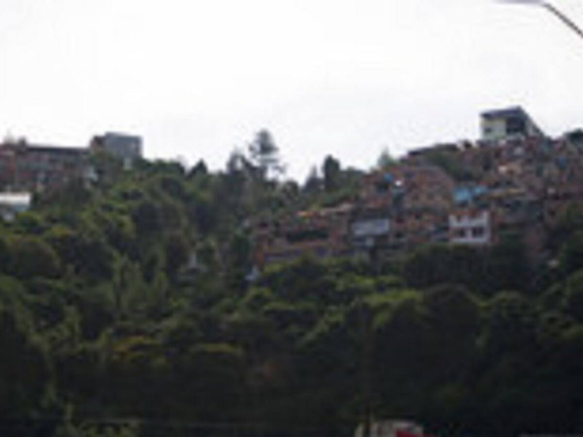 Colombia apuesta por la biodiversidad urbana