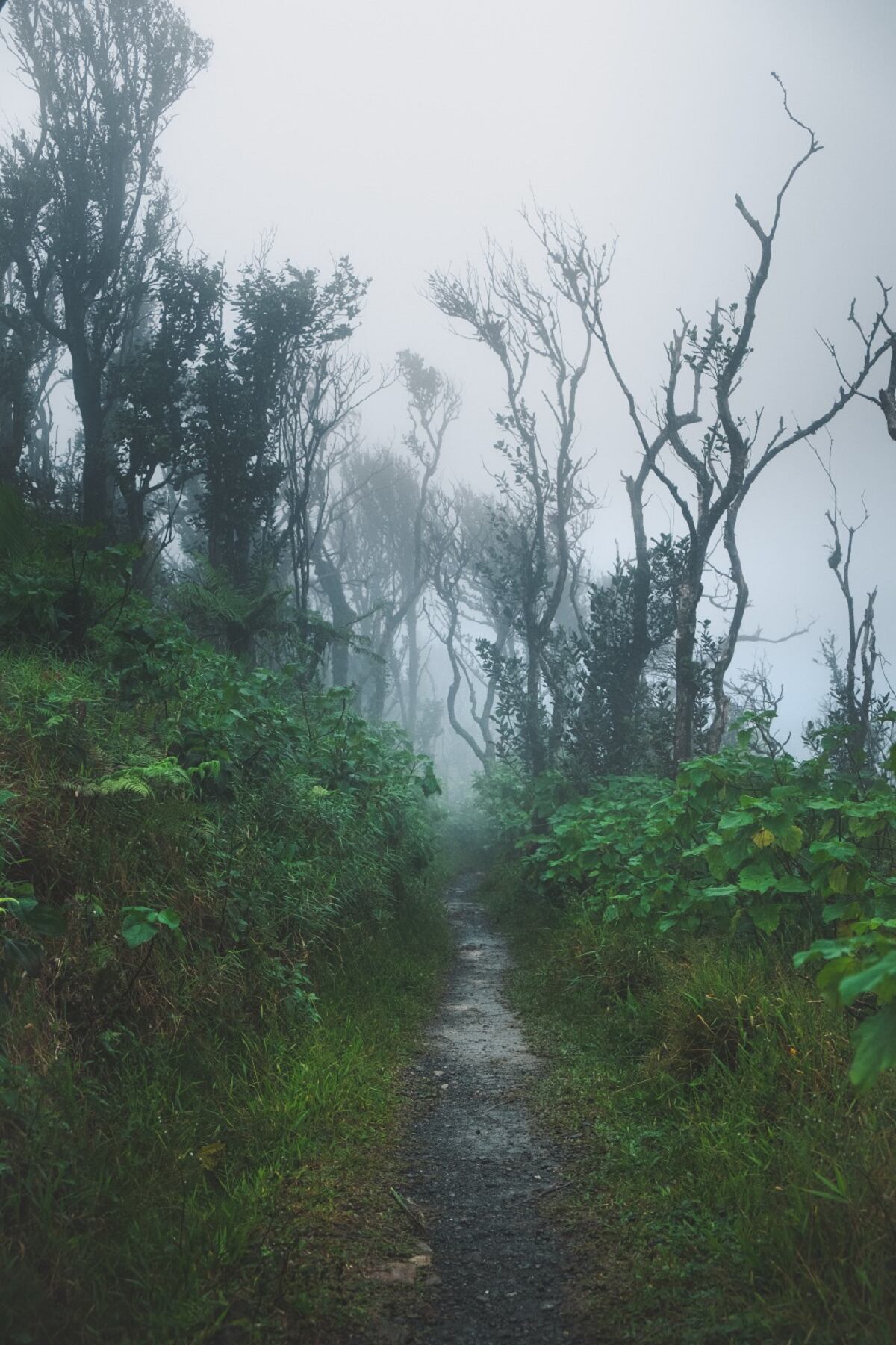 Crédito: Gobernación de Caldas.