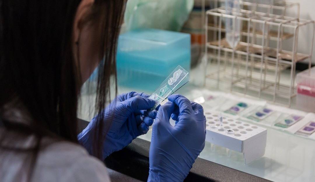 Laboratorio para pruebas de la viruela del mono.