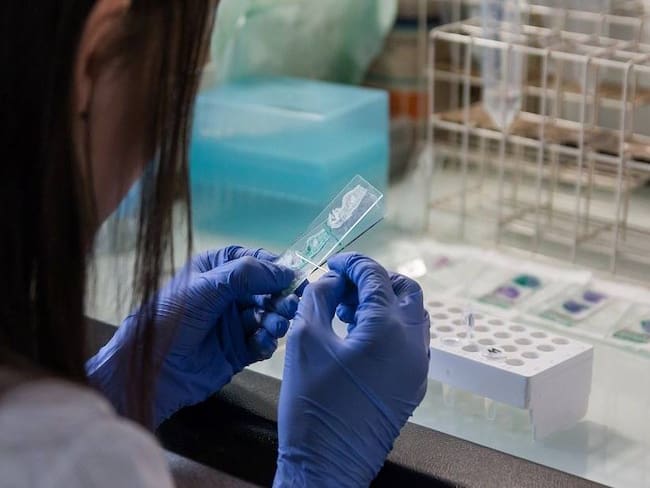 Laboratorio para pruebas de la viruela del mono.