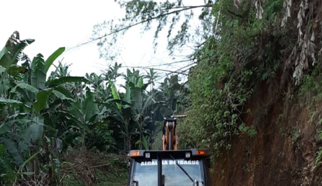 suministrada Alcaldía de Ibagué 