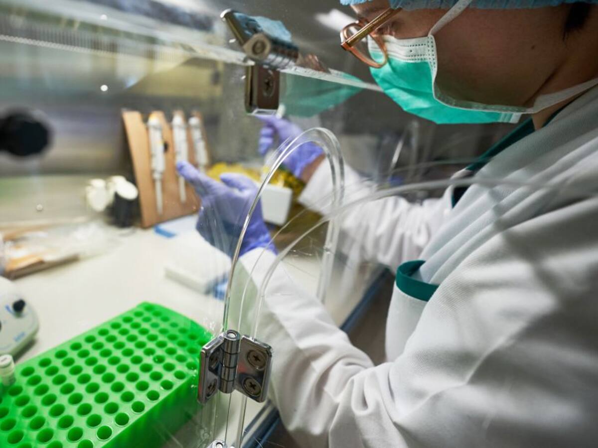 “Sabemos que China está intentando ocultar el origen de la pandemia”