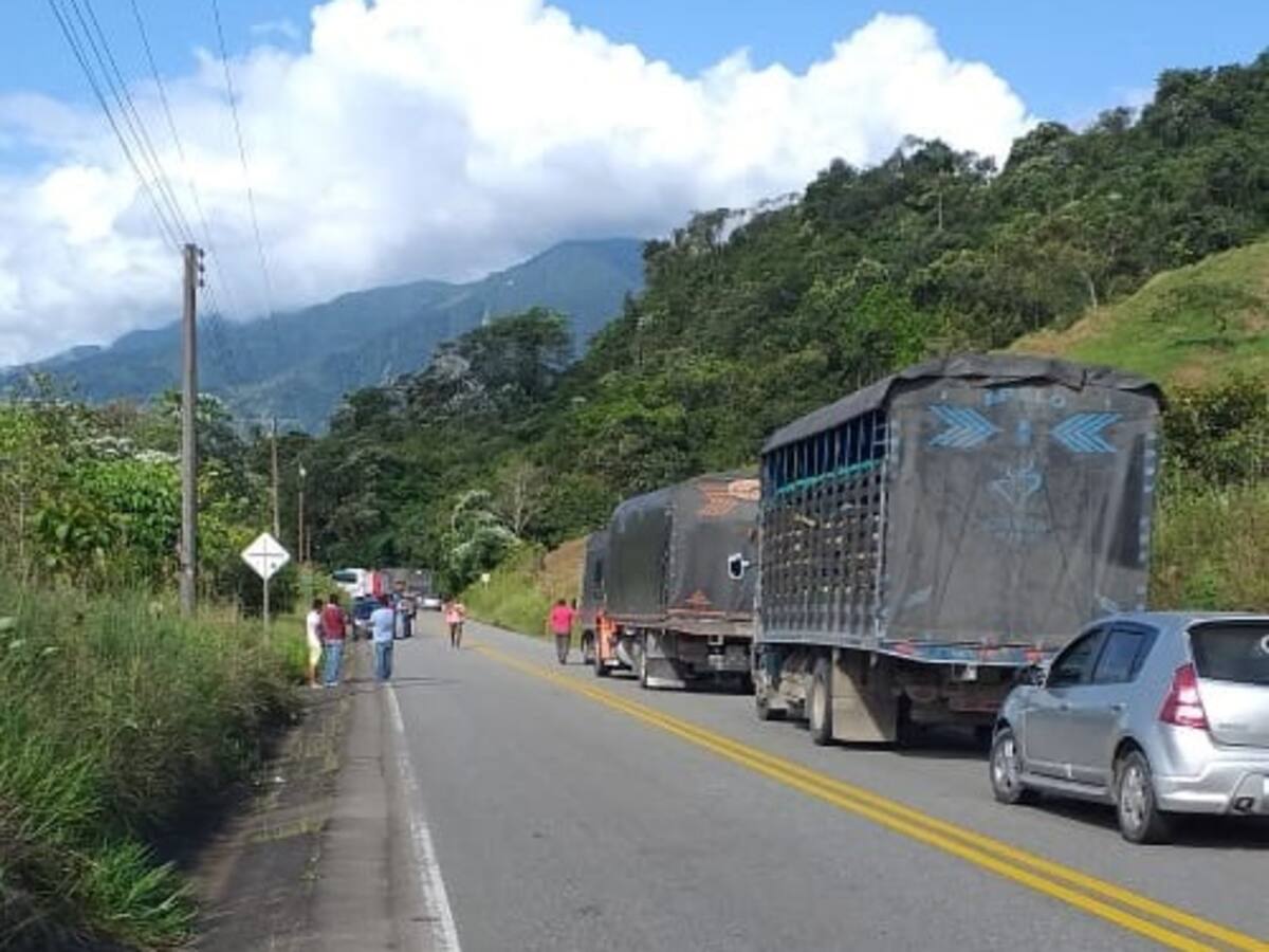 Vía Pitalito – Mocoa afectada por tránsito de vehículos procedentes del Cauca