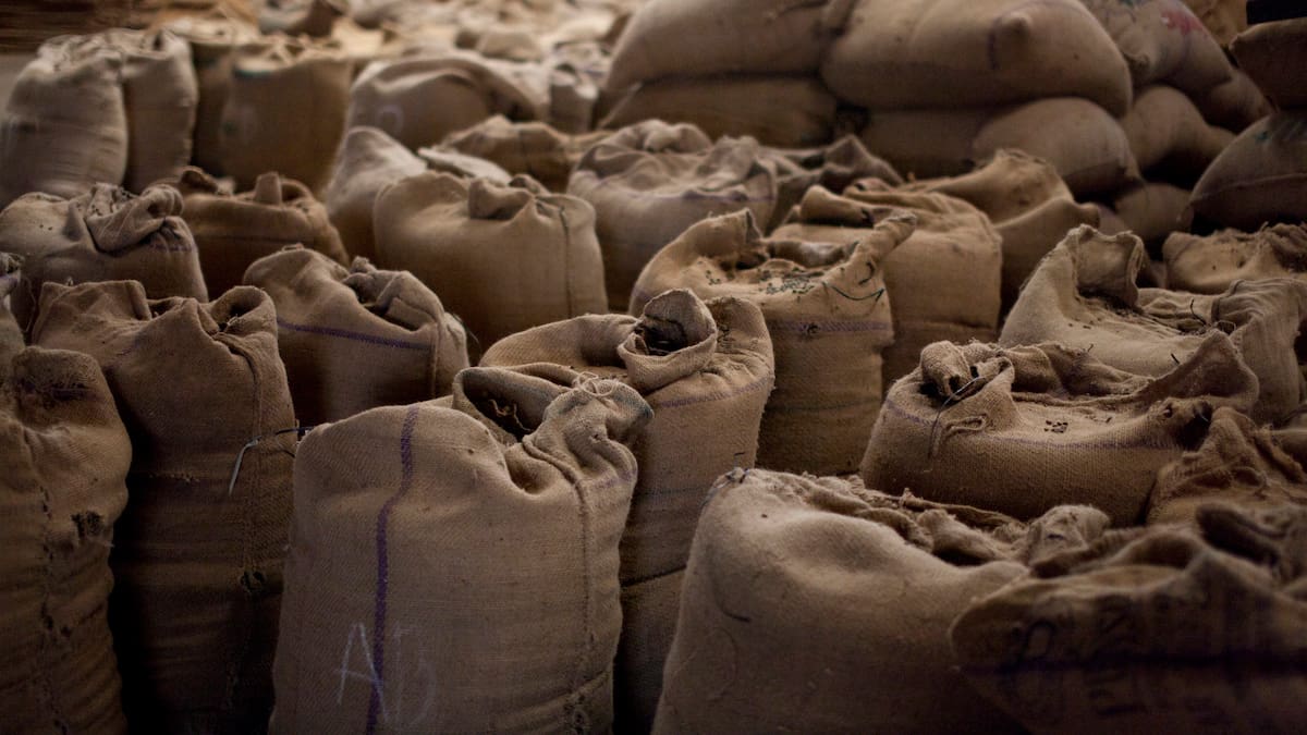 Tribox Colombia se declara víctima en caso de estafa por $10 mil millones a cafeteros del Tolima