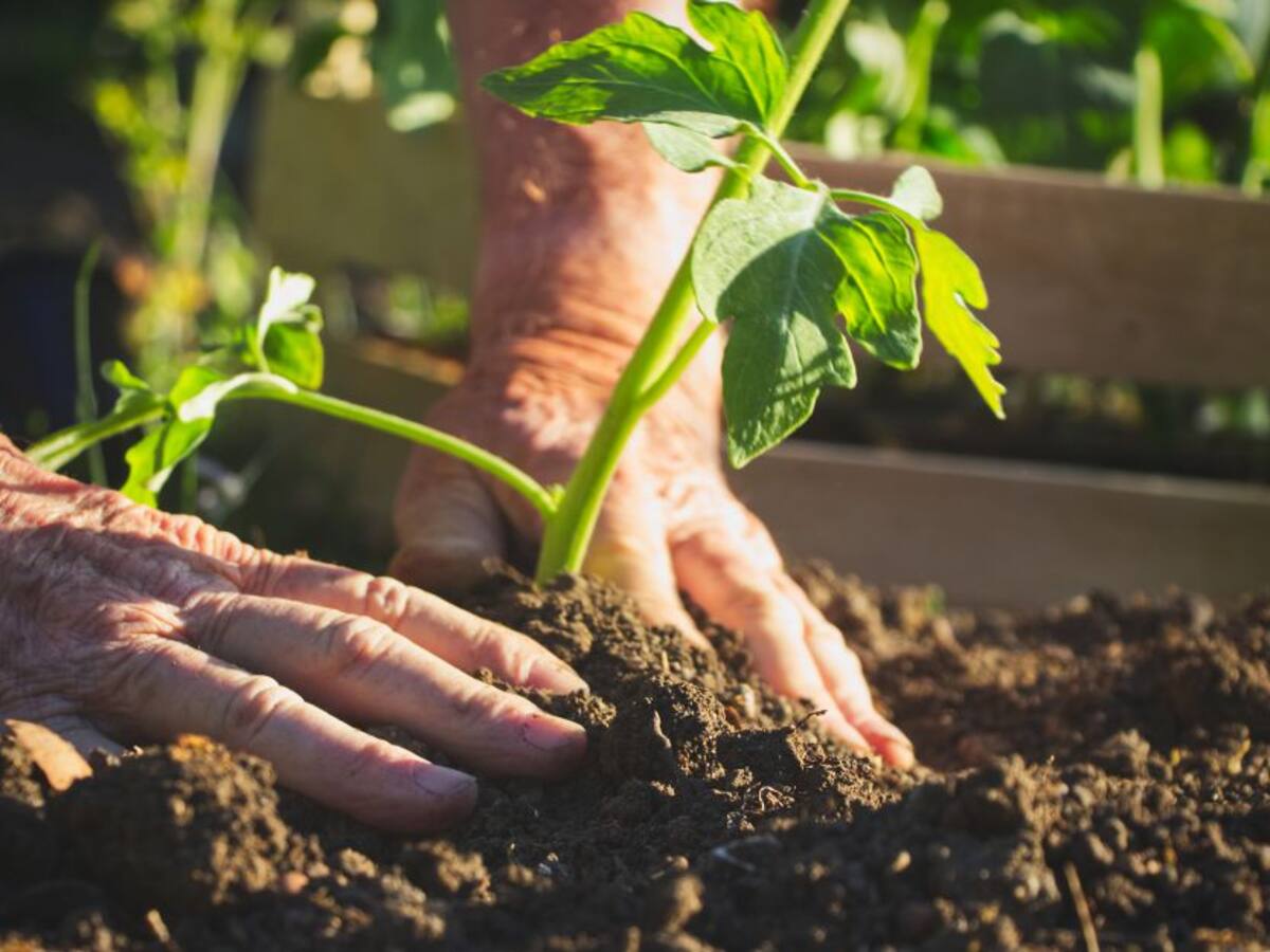Entregan semillas e insumos a pequeños productores agrícolas