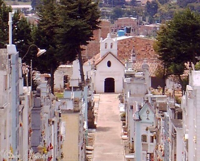 Nueve jóvenes fueron sorprendidos en el Cementerio Central de Tunja a las 3:00 a.m., tras ingresar por curiosidad, según informaron. La Policía Nacional, mediante videovigilancia, logró intervenir a tiempo y aplicar sanciones por alterar la paz de un lugar sagrado.