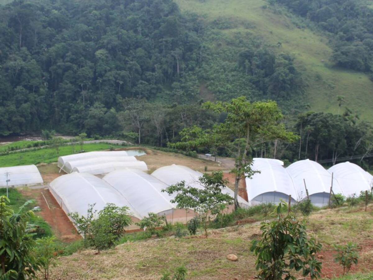 Grupo de expertos diseñan un nuevo hogar para excombatientes en Guaviare