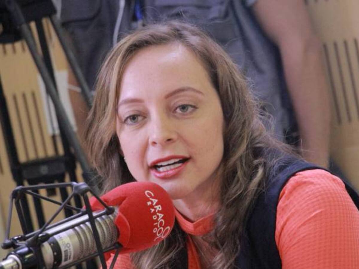 “No estamos preparados para entrar a la OCDE”: Agudelo