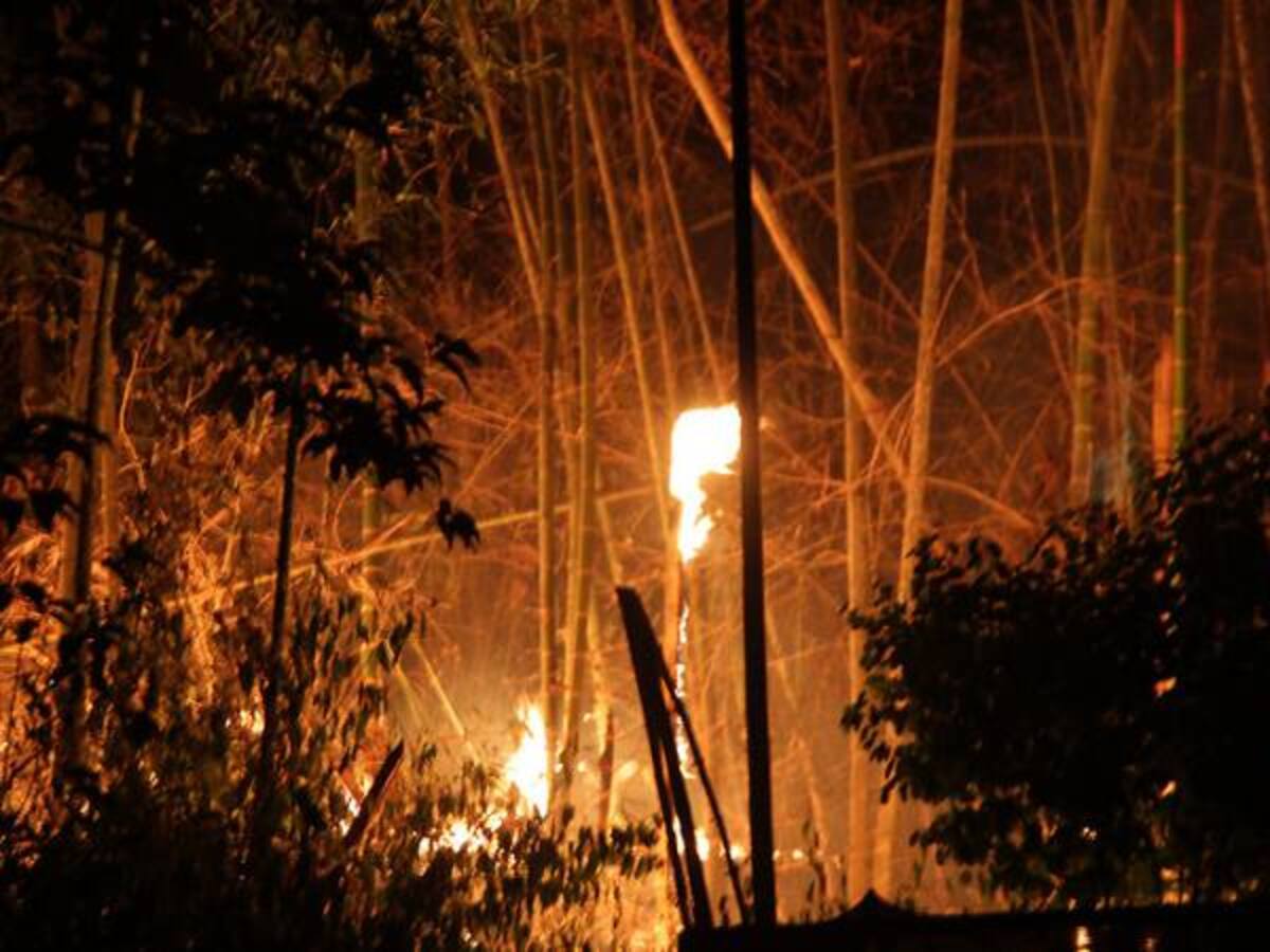 Mayoría de incendios forestales en Colombia han sido provocados por el hombre