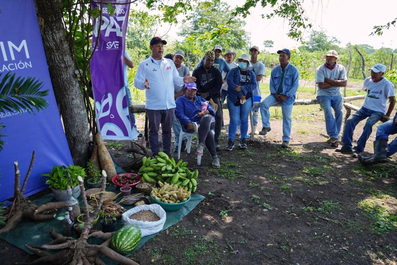 Más de 180 hectáreas vinculadas a ‘La Gata’ y al narcotráfico hoy fortalecen proyectos campesinos en Bolívar