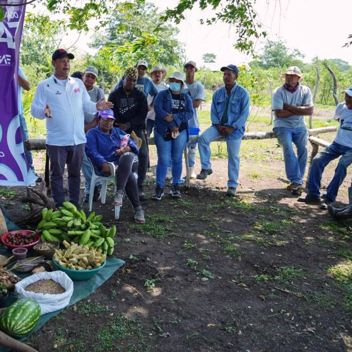 Más de 180 hectáreas vinculadas a ‘La Gata’ y al narcotráfico hoy fortalecen a campesinos en Bolívar