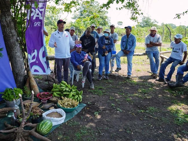 Más de 180 hectáreas vinculadas a ‘La Gata’ y al narcotráfico hoy fortalecen proyectos campesinos en Bolívar