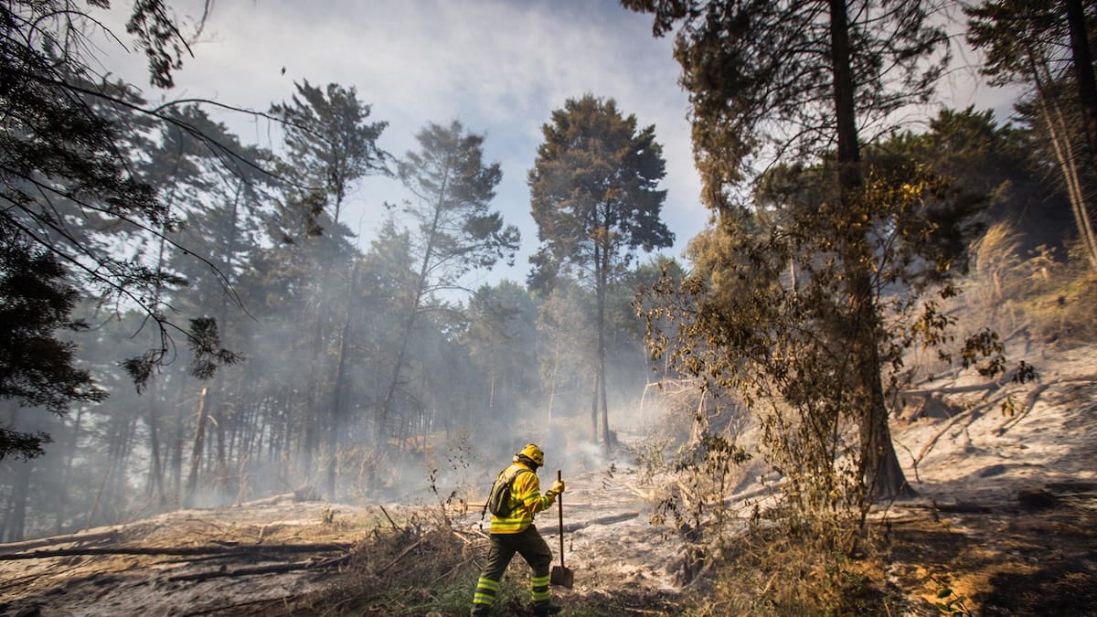 Alerta por fenómeno de El Niño: Medellín atendió 50 incendios forestales durante el último mes
