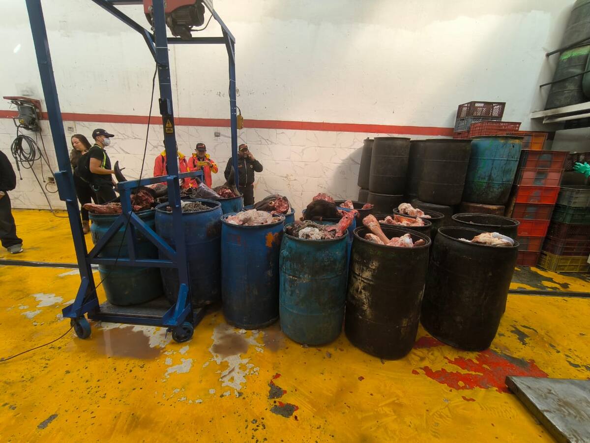 Clausuran bodega ilegal de carne en Kennedy por olores ofensivos que afectaban a la comunidad