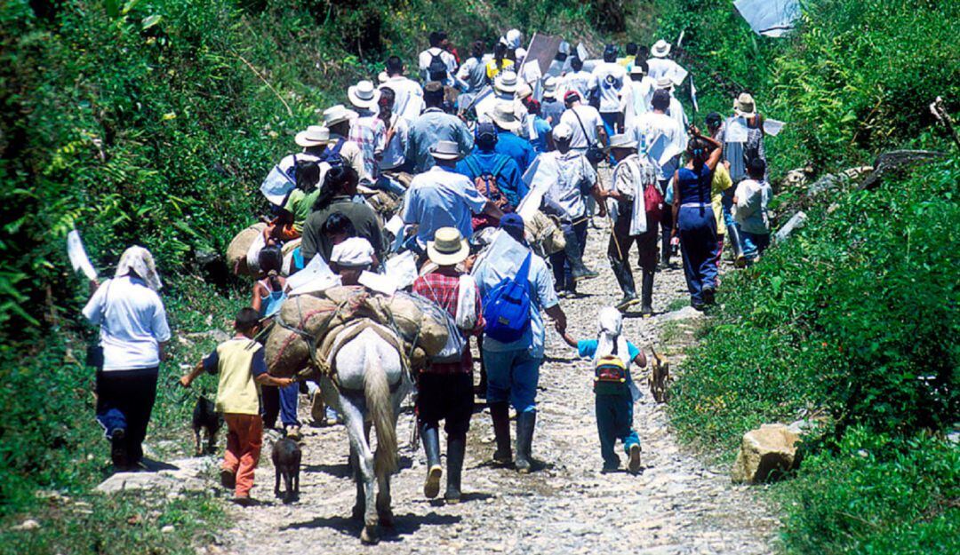Desplazamiento de familias en Hacarí por enfrentamientos de grupos armados
