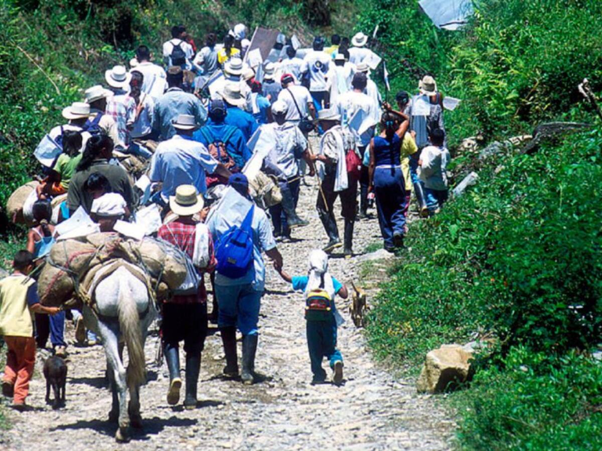Desplazamiento de familias en Hacarí por enfrentamientos de grupos armados