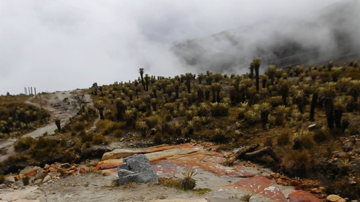 Glaciar del Cocuy podría desaparecer en pocas décadas por el cambio climático