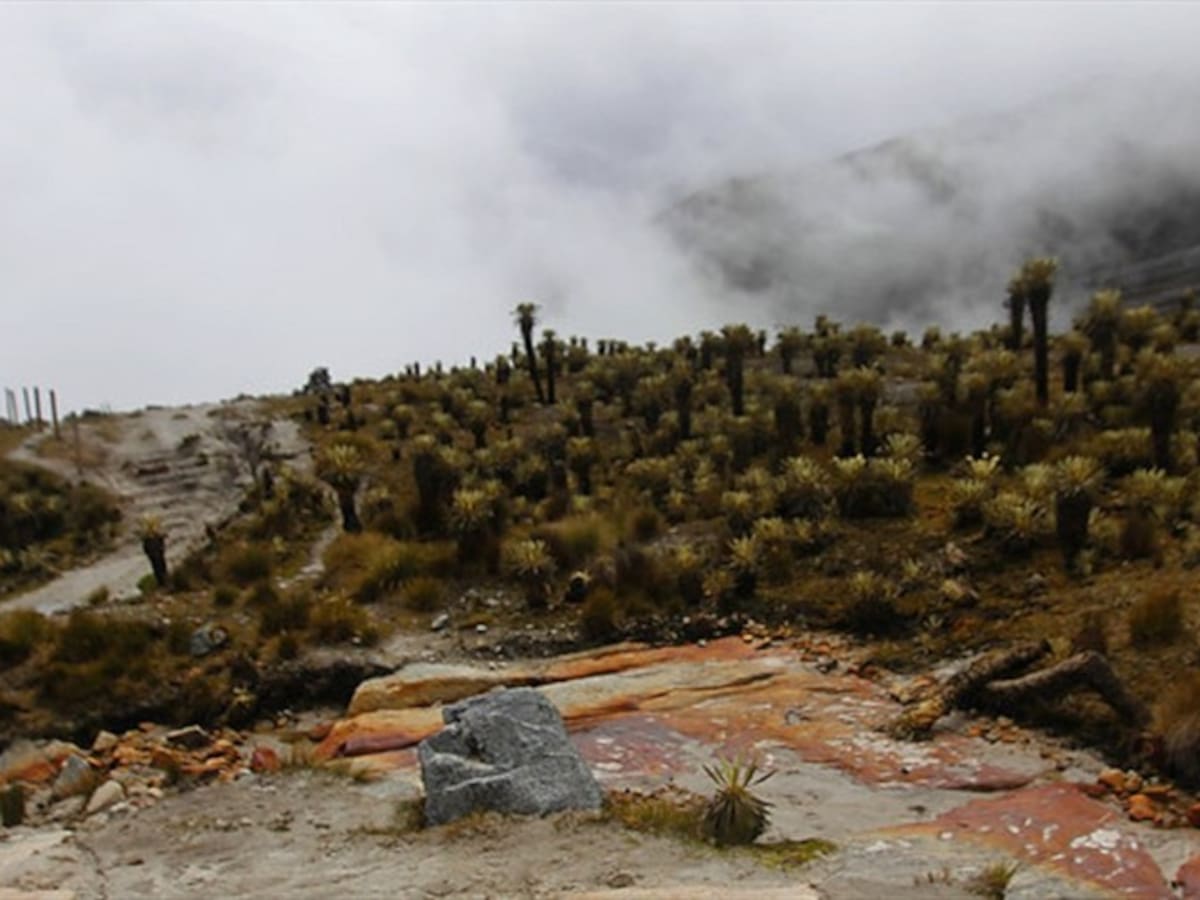Glaciar del Cocuy podría desaparecer en pocas décadas por el cambio climático