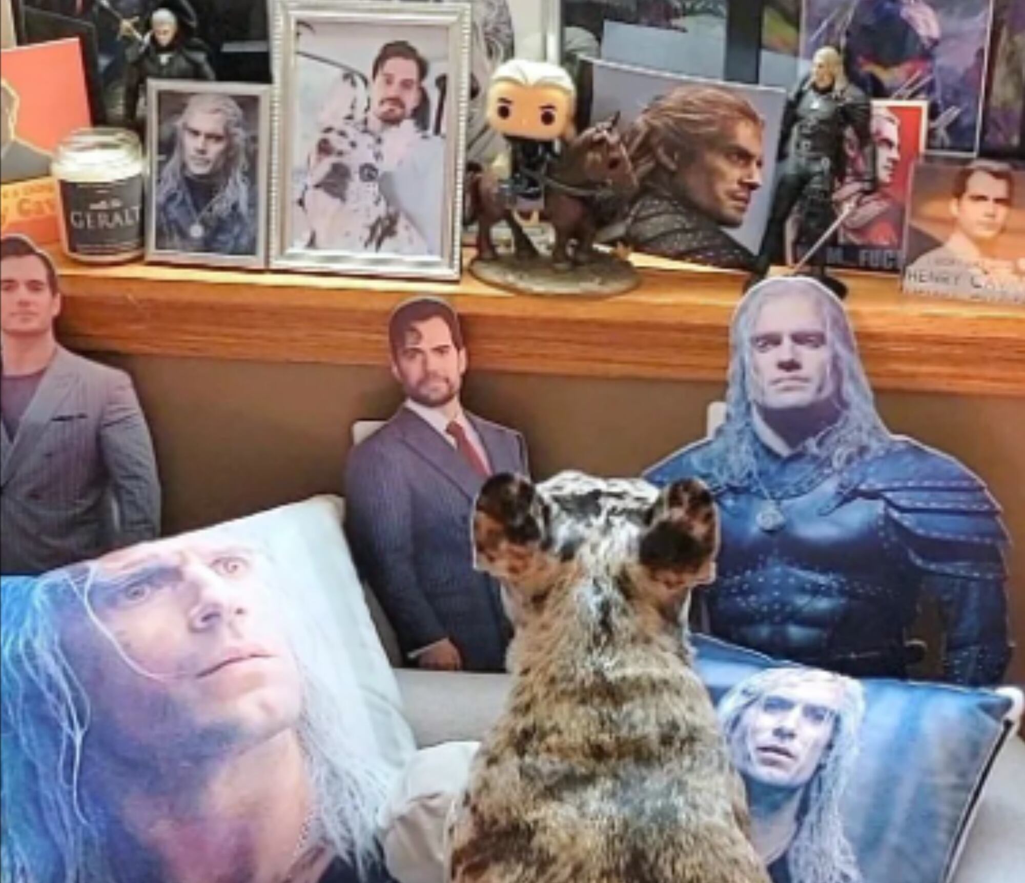 ¡Amor a primera vista! Bulldog francés está enamorada de Henry Cavill - Cortesía redes sociales