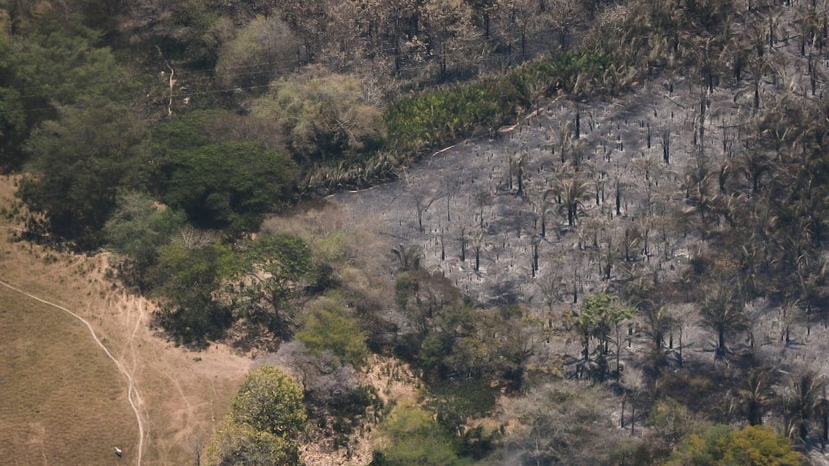 Tolima en alerta: 14 municipios siguen sin bomberos ante posible fenómeno de El Niño