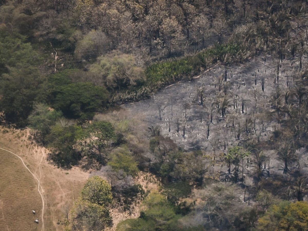 Tolima en alerta: 14 municipios siguen sin bomberos ante posible fenómeno de El Niño