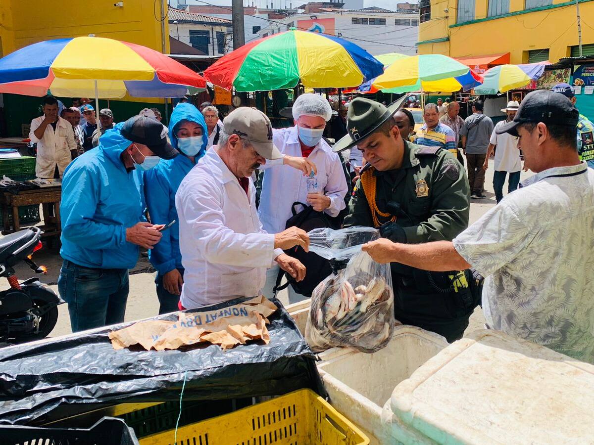 Por condiciones inapropiadas de higiene, fueron decomisados kilos de pescado en Manizales