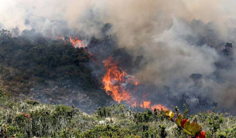 Incendios Forestales (Imágenes de Referencia)