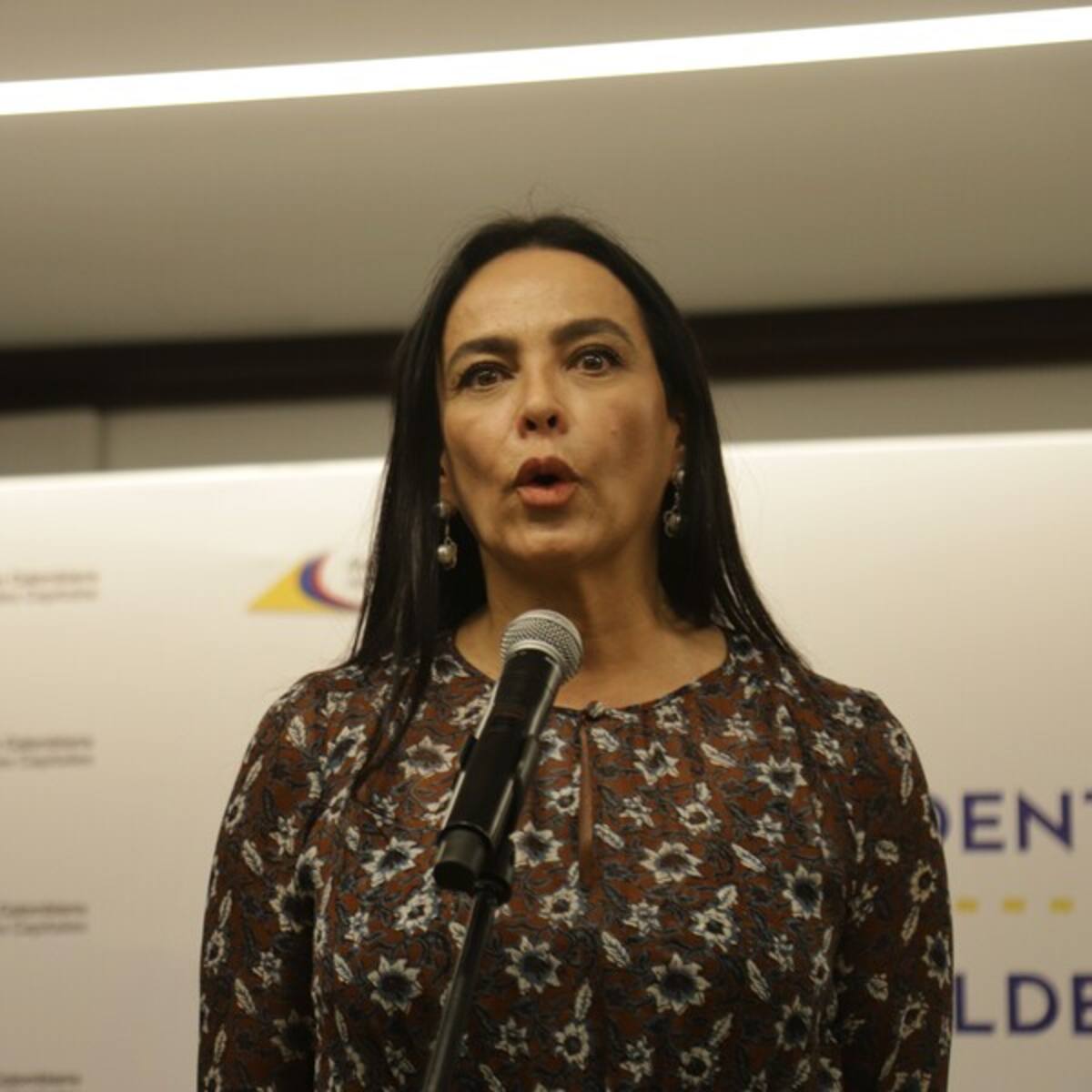 La responsabilidad es trabajar fluidamente con el Gobierno: Asocapitales