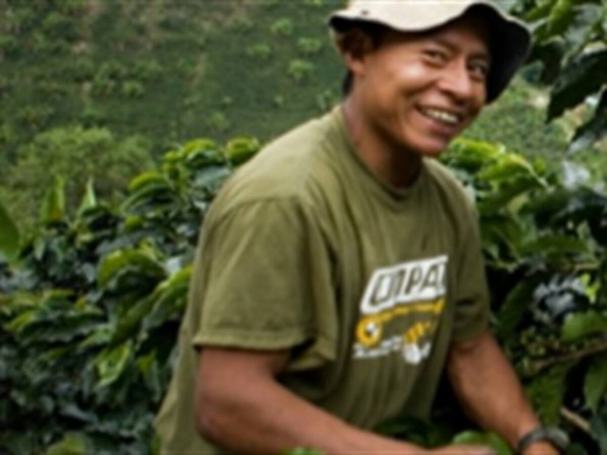 Cafeteros colombianos podrán cobrar las ayudas del Gobierno al momento de ventas del café