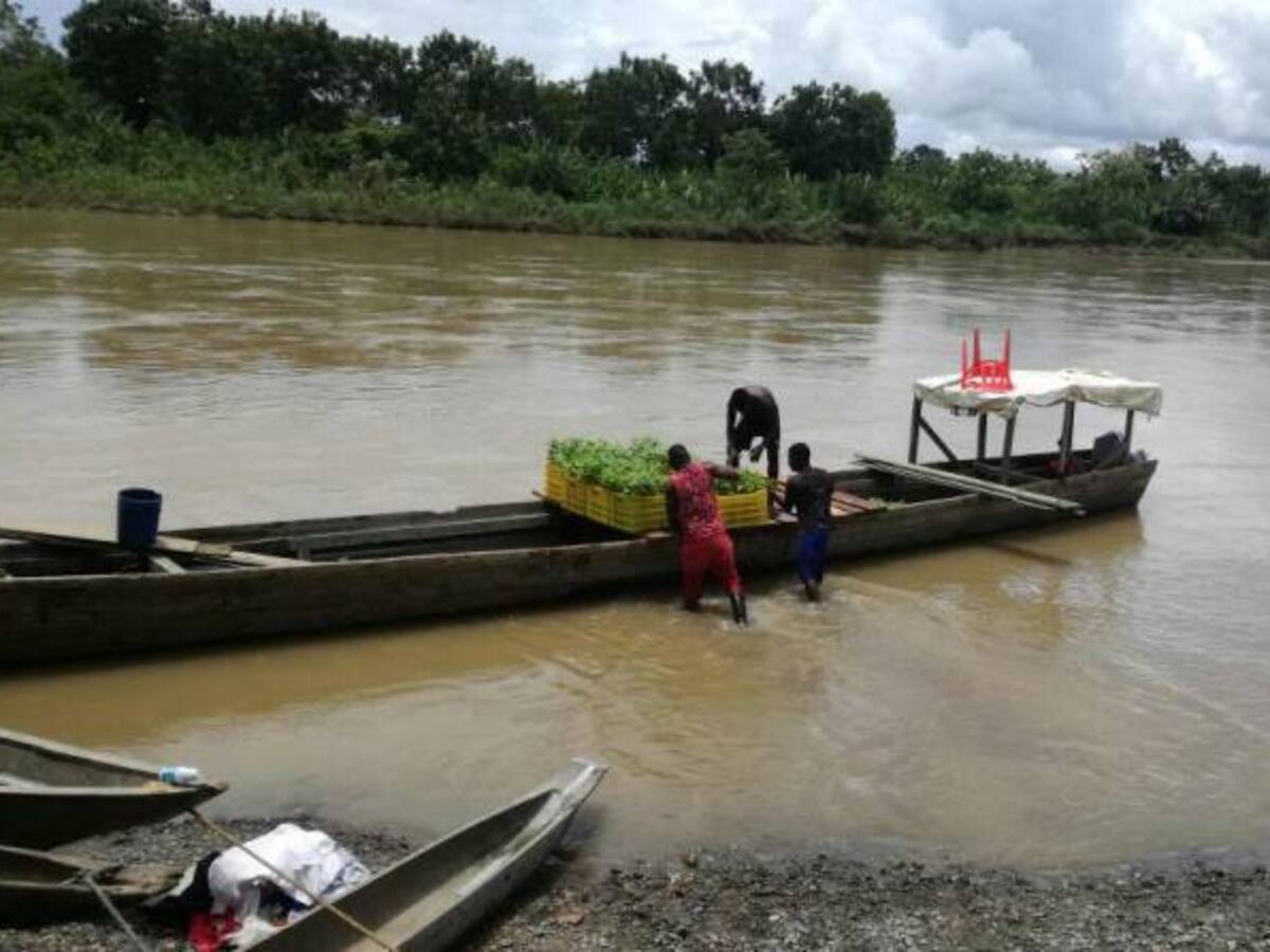 Consejos comunitarios de Chocó reciben plantas de Achiote