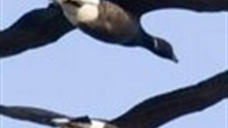 Lunes en la Ventana dedicado a la plena conciencia