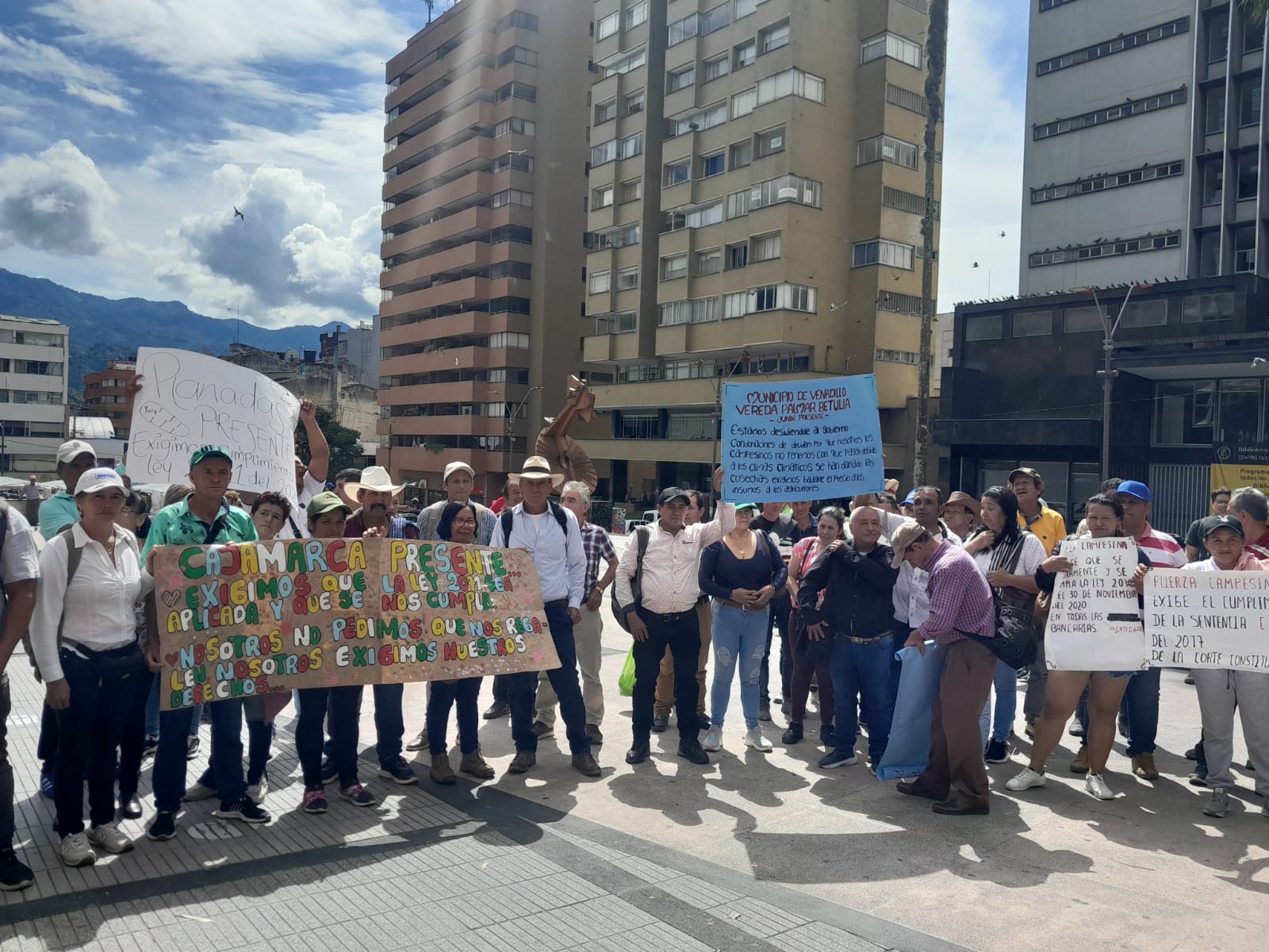 “Estamos en una profunda crisis económica”: Comunidades rurales del Tolima.