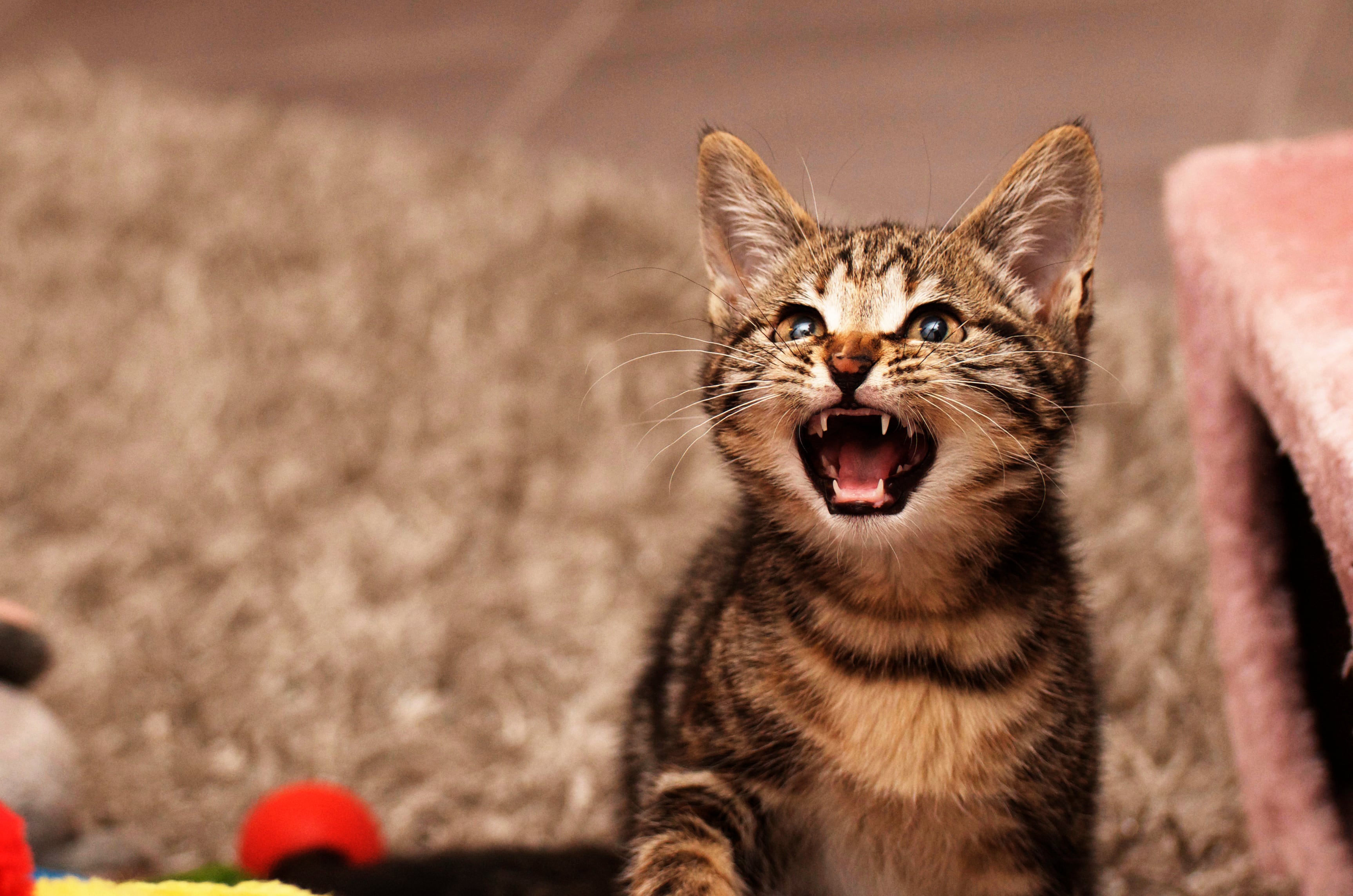 Imagen de referencia vía Getty Images.