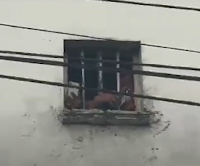 Las personas grabando el desfile desde una venta de la Cárcel Modelo. Foto: tomada de video de redes sociales.