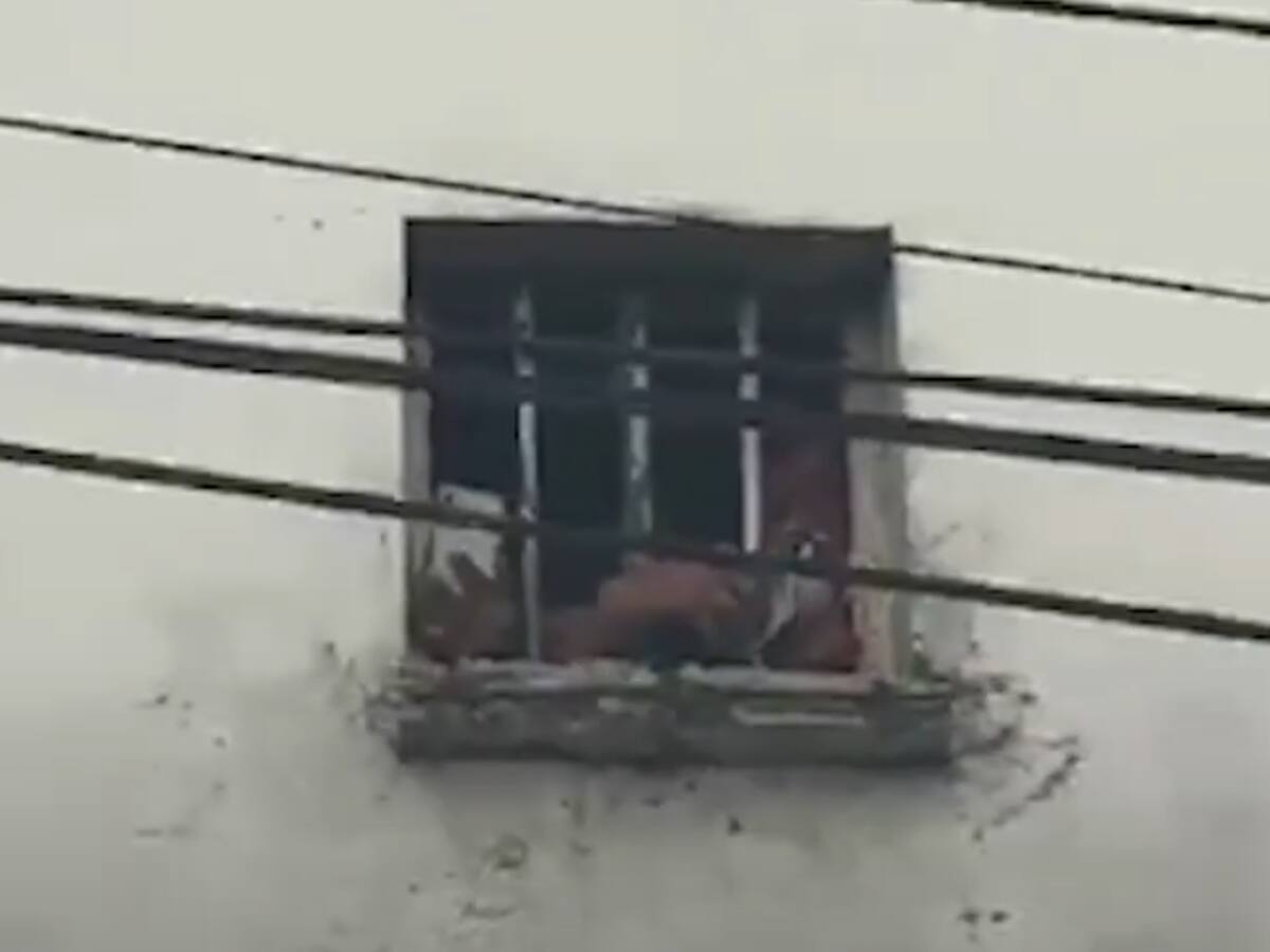 VIDEO: desmienten que internos de la Cárcel Modelo grabaran Batalla de Flores, esto dijo el INPEC